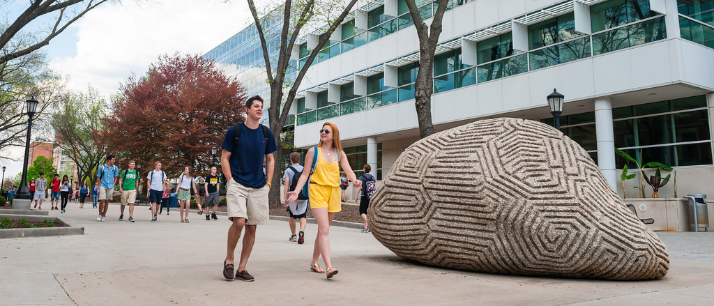 View of the brain rock and Pomerantz center